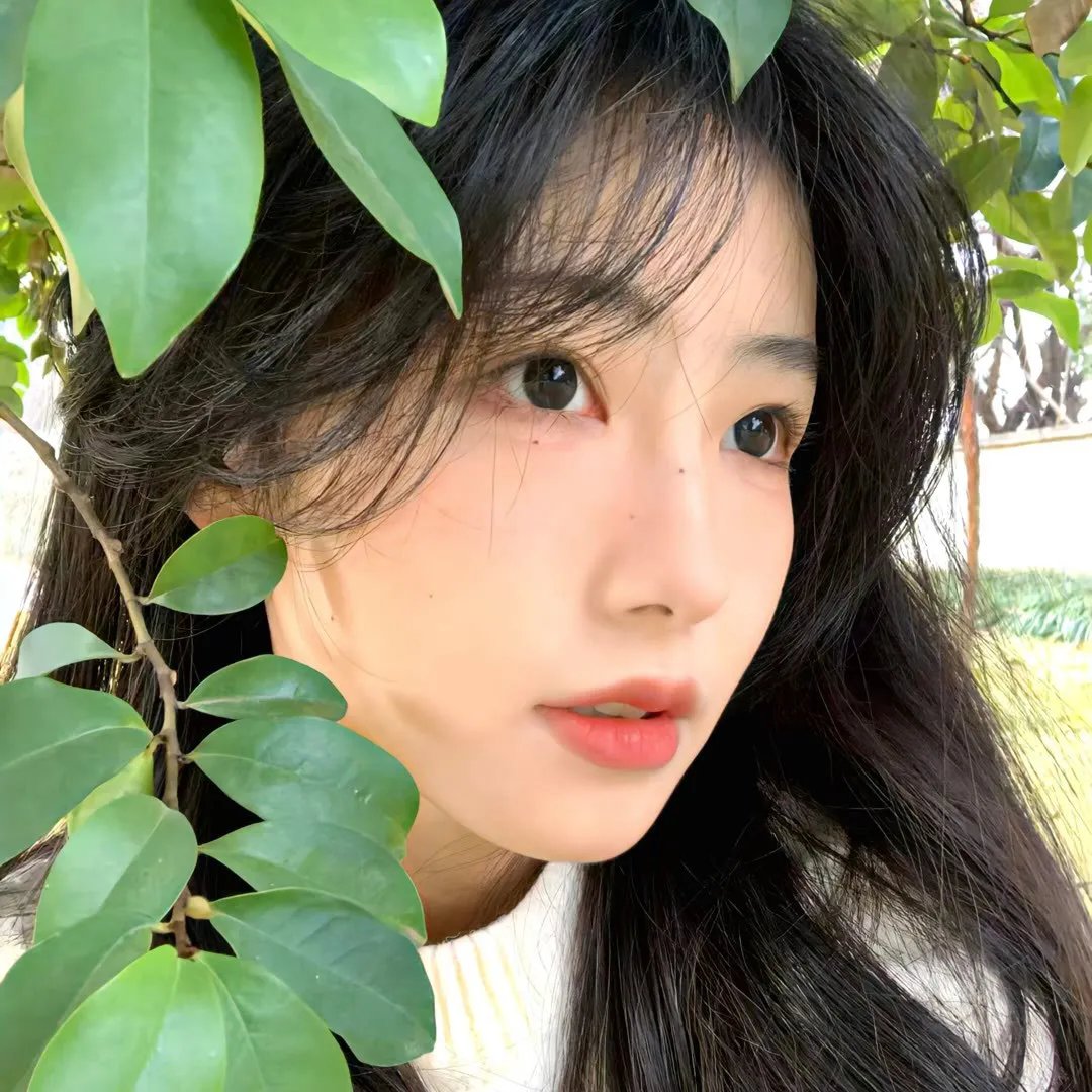 侠女传奇